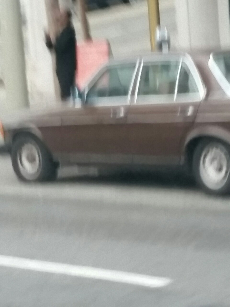 Terrible picture of the elusive brown W123